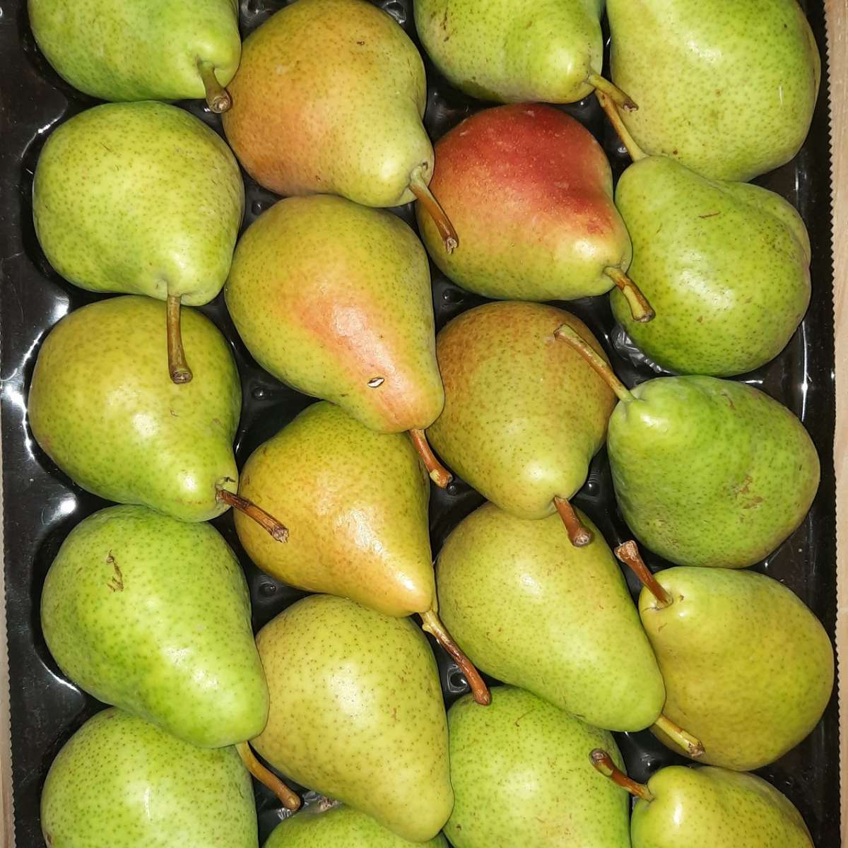 Poires (1 kg) Variété "Guyot"